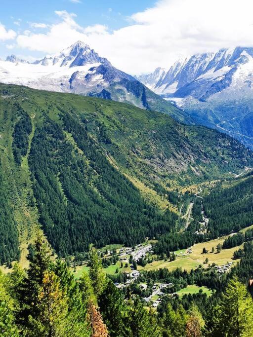 French Alps Luxury *