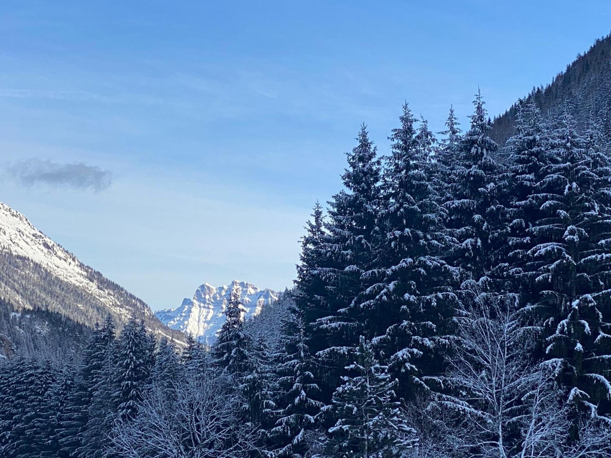 French Alps Luxury Vallorcine
