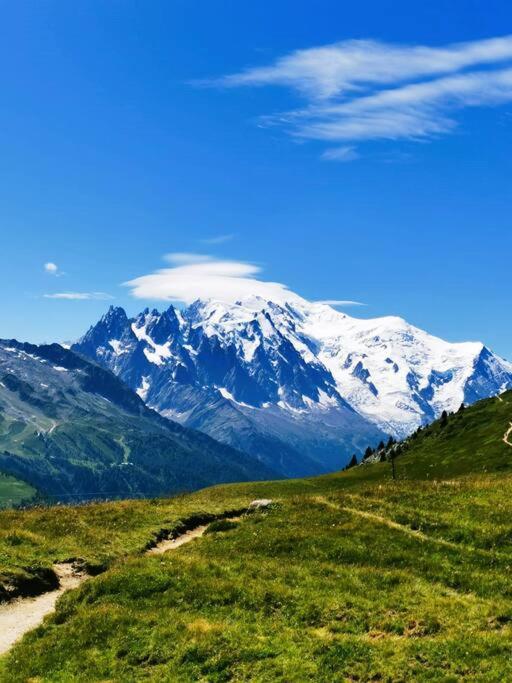 Apartment French Alps Luxury Vallorcine